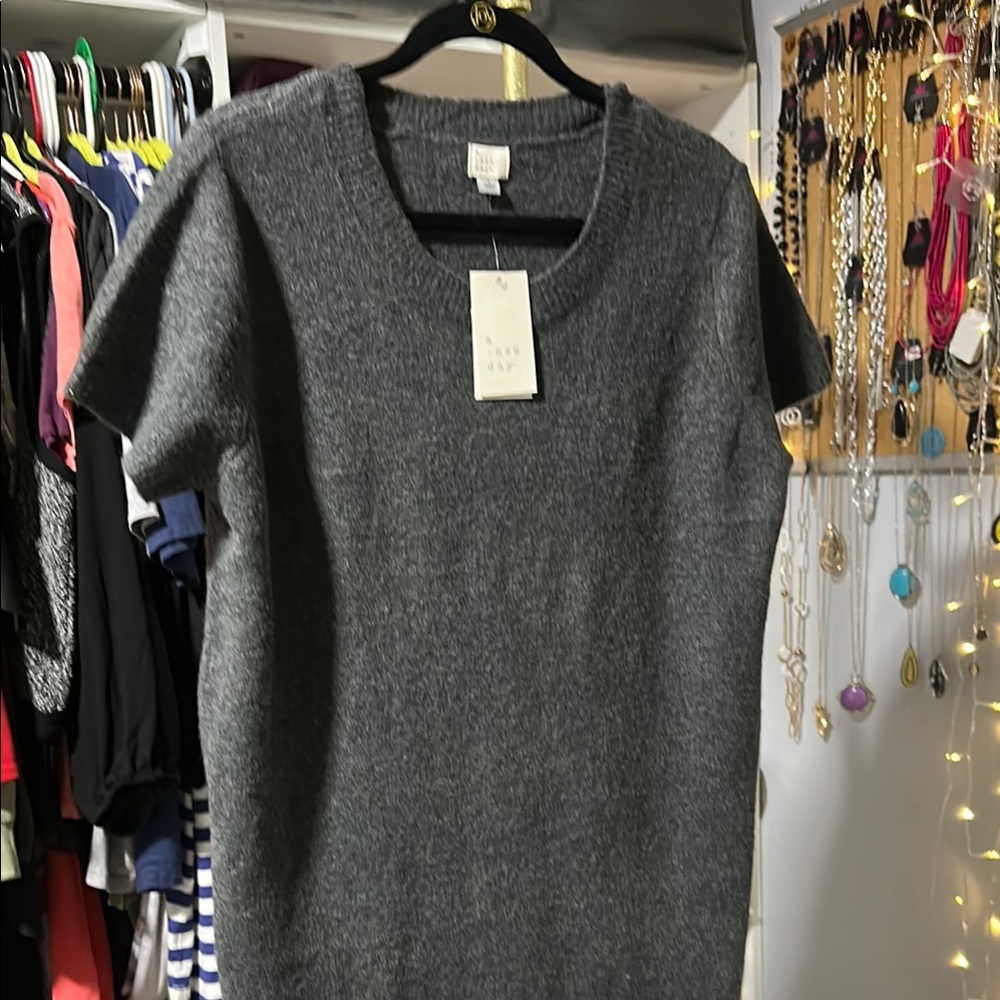 Bo.220 A New Day Gray Mini Dress with Dolman Sleeves